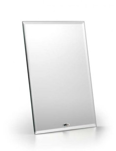 MIRROR WITH BUILT-IN STAND...