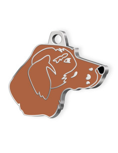 DOG TAG POINTER BROWN
