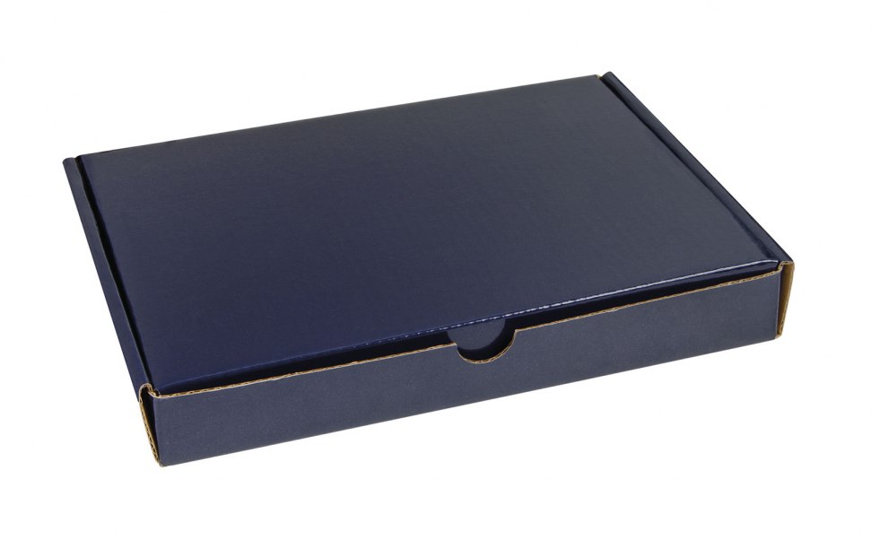 BLAUE FALTSCHACHTEL 220X170X30 MM