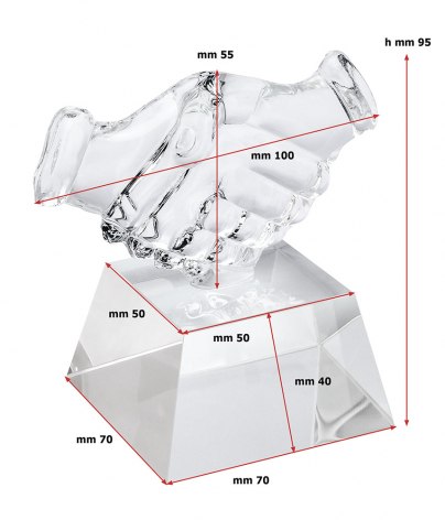 TROFEO STRETTA DI MANO 90x50