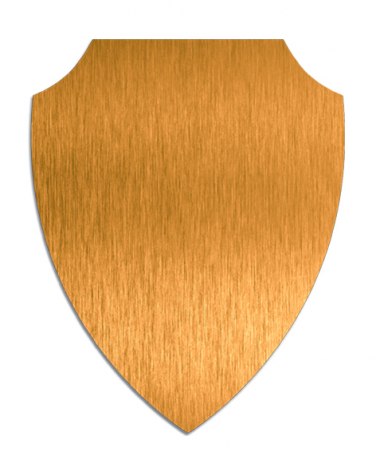 Targa Oro Scudo Sublimazione Mm 162X211