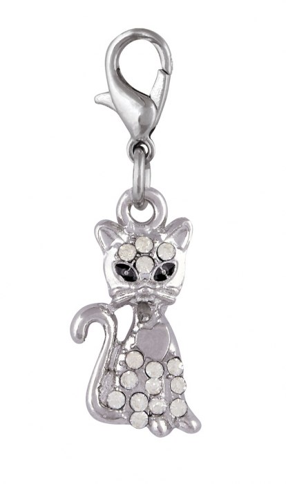 Charm - Gatto